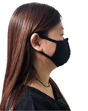 Worksafe Reusable Face Mask With Silver Ion (Black)
